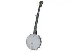 Deering Goodtime Artisan Banjo