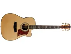 Cole Clark FL3 Acoustic Guitar main image