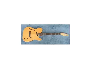 Fender Stratocater TLC-100