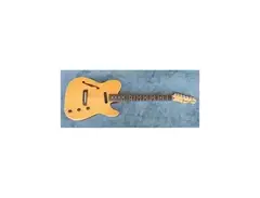 Fender Stratocater TLC-100
