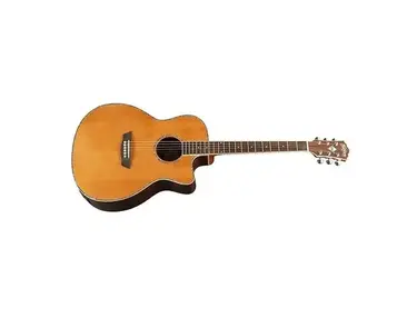 Washburn WG26SCE