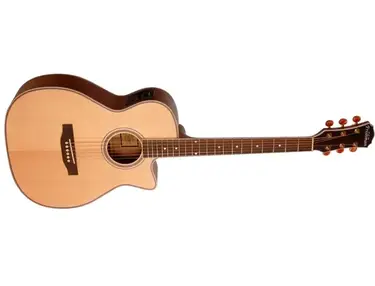 Freshman FA250GAC