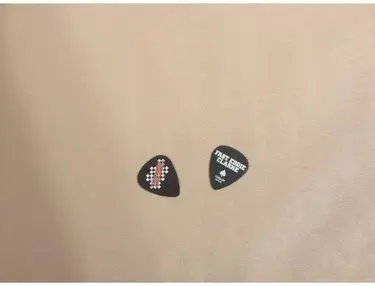 Dunlop Fast Eddie Clarke Custom Picks