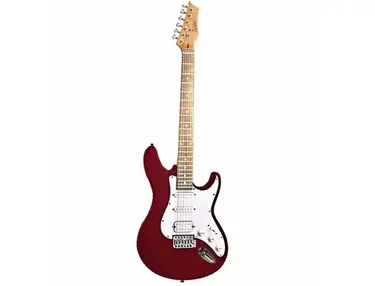 Ashton Music AG132
