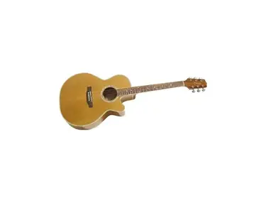 Takamine G-Series Eg544sc-4c