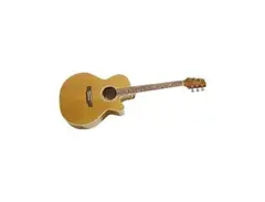 Takamine G-Series Eg544sc-4c