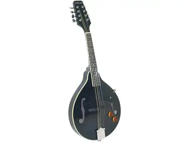 Ashbury AM-10E Mandolin