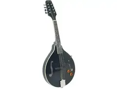 Ashbury AM-10E Mandolin main image