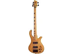 Schecter Riot Session-5 main image