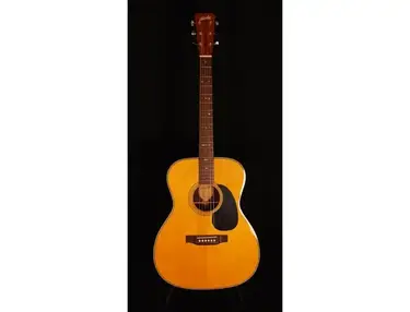 Blueridge BR-163X