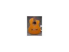 Takamine EC132SCX main image