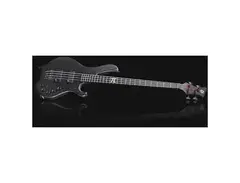 Maruszczyk Wojtek Pilichowski Signature Pi Bass