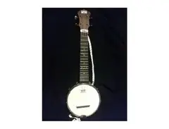 Recording King Banjolele RK-U25 main image