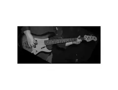 Custom P+MM Bass main image