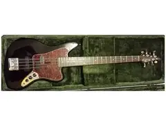 Custom 8 String Bass main image