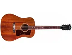 Guild D-20