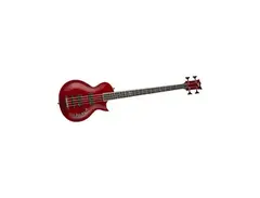 Esp Ltd EC-254
