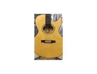 Washburn EA30N/S Electric Acoustic