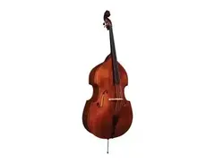 Shoenbach 3/4 Intermediate Double Bass main image