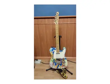 Fender Telecaster Pollock