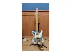 Fender Telecaster Pollock main image