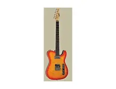 Austin Guitars AU962AB 62' Era Professional Deluxe Telecaster