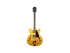 DeArmond Starfire main image