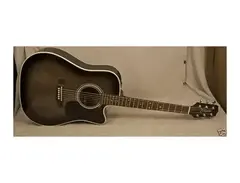 Takamine EF361EC main image