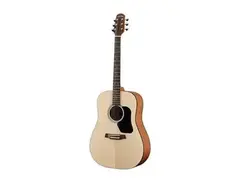 Walden Guitars D350 Standard main image