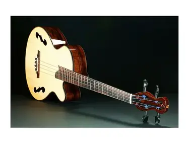 Mark Hatcher Bella Acoustic Bass