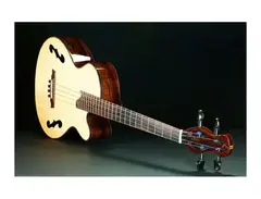 Mark Hatcher Bella Acoustic Bass