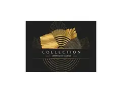 Native Instruments SYMPHONY SERIES – COLLECTION