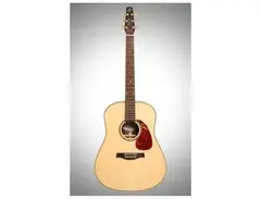 Seagull Maritime SWS Dreadnought Sprucetop Satin main image