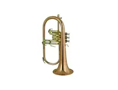Wiseman Flugelhorn