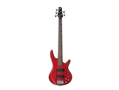 Ibanez GSR205 5-String Bass Roadster