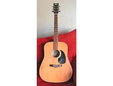 Eagle Instrumentos CH888 Custom