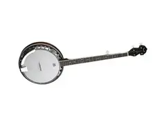 Dean Backwoods 5 Banjo main image
