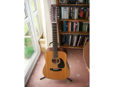 Fender 1976 12 String F-5-12