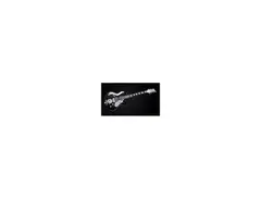 Cyan Guitars Black Hawk main image