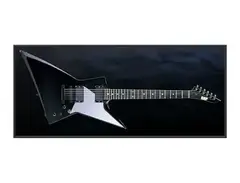 ESP EX-280 Syu Custom main image