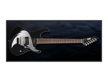 Syu's Guitars | Equipboard