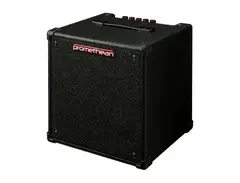 Ibanez Promethean P20-H