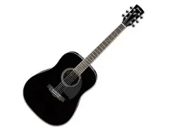 Ibanez PF15BK main image