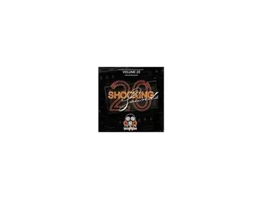 Vandalism Shocking Sounds 20