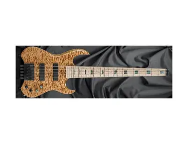 Kiesel Vader VB5 Headless Bass