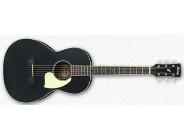 Ibanez PN-14 Parlor Guitar
