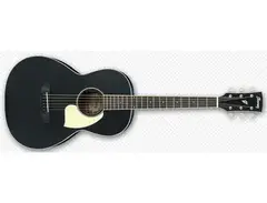 Ibanez PN-14 Parlor Guitar main image