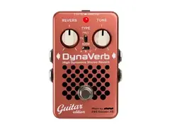 EBS DynaVerb Guitar Edition main image