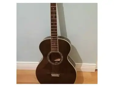 Jay Turser JTA-410 Acoustic