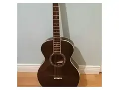 Jay Turser JTA-410 Acoustic main image